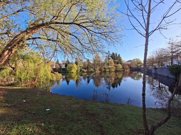 Galaxy A57 - 13 mm (2)