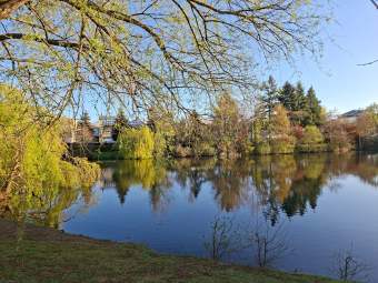 Galaxy A57 - 23 mm (4)