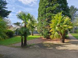 Galaxy A57 - 23 mm (8)