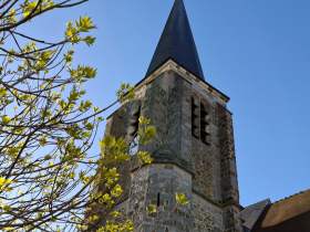 Galaxy A57 - 46 mm (3)