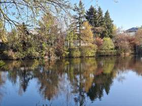 Galaxy A57 - 46 mm (4)