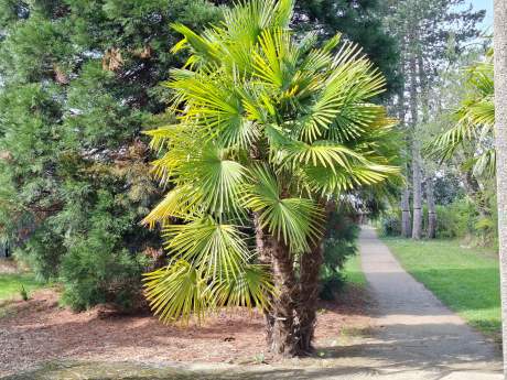 Galaxy A57 - 46 mm (9)