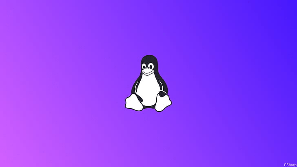 Copy Fail : une faille Linux permet d'accéder au root via Python - Image d'illustration