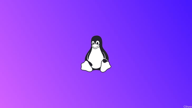 Comment 10 lignes de Python rootent n&rsquo;importe quel PC Linux