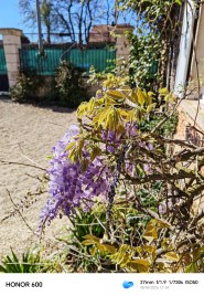IMG_20260408_123434
