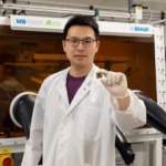 Un « échafaudage moléculaire » : la solution inattendue pour faire décoller la nouvelle génération de panneaux solaires en pérovskite