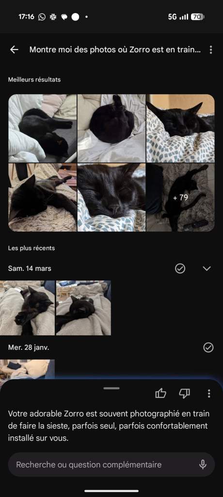 R&eacute;sultats d'une recherche avec Gemini concernant mon chat Zorro sur Google Photos. // Source : Capture d'&eacute;cran Frandroid.