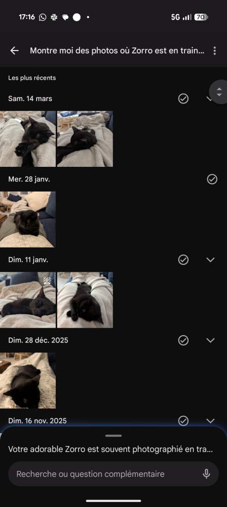 R&eacute;sultats d'une recherche avec Gemini concernant mon chat Zorro sur Google Photos. // Source : Capture d'&eacute;cran Frandroid.