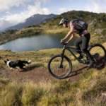 Tesla casse les prix, innovations solaires et bons plans vélos : l’actualité électrique de la semaine – Récap’ Survoltés