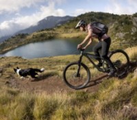 Source : Decathlon