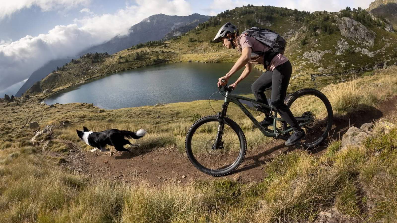 Tesla casse les prix, innovations solaires et bons plans vélos : l’actualité électrique de la semaine – Récap’ Survoltés