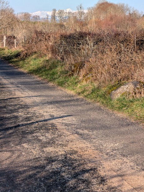 Vaonis Hestia - test - 11 Zoom x5