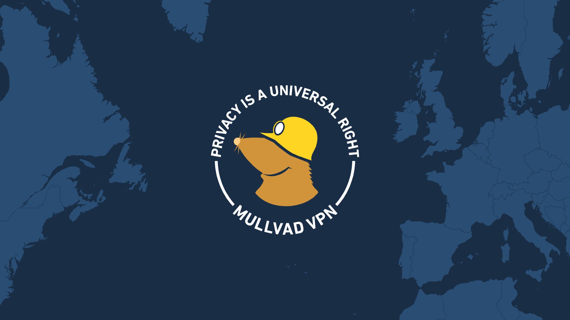 Le logo de Mullvad VPN