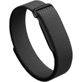Google Fitbit Air
