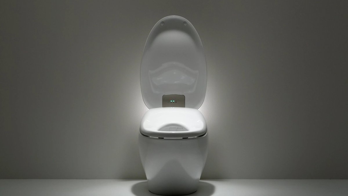 Comment ce constructeur de toilettes japonaises est devenu un fournisseur indispensable des fabricants de mémoire RAM