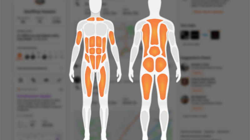 Strava muscle son jeu : l’application lance de nouvelles fonctions pour la musculation