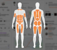 Les nouvelles cartes musculaires sur Strava // Source : montage Frandroid Les nouvelles cartes musculaires sur Strava // Source : montage Frandroid