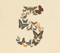 IMG_6032 IMG_6032