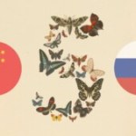 Anthropic : derrière la désactivation de Fable 5 et Mythos 5, une peur de la Chine et de la Russie