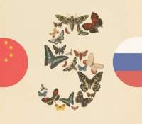 Les États-Unis ont peur que des hackers chinois et russes puissent exploiter Fable 5 d'Anthropic pour des cyberattaques. // Source : Anthropic (montage Frandroid) Les États-Unis ont peur que des hackers chinois et russes puissent exploiter Fable 5 d'Anthropic pour des cyberattaques. // Source : Anthropic (montage Frandroid)