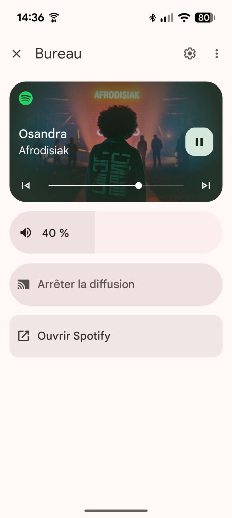 Application Google Home // Source : Sylvain Pichot - Frandroid