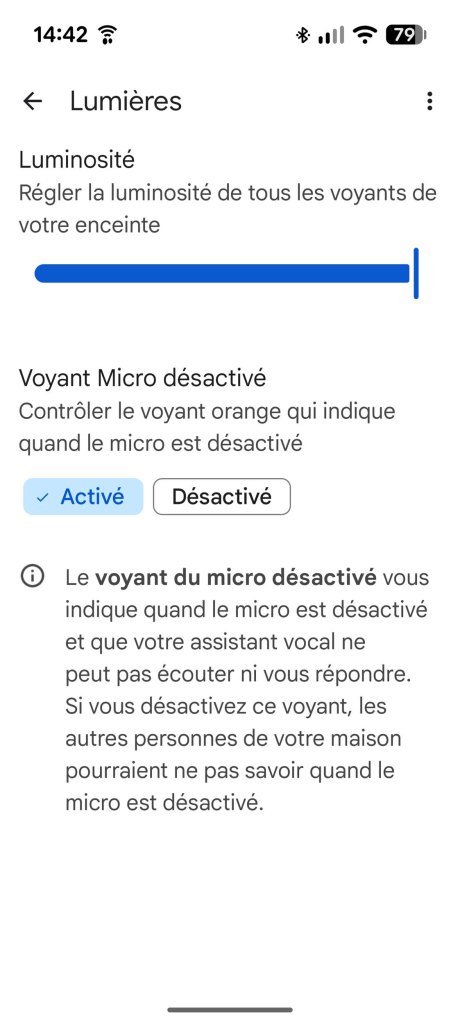 Application Google Home // Source : Sylvain Pichot - Frandroid