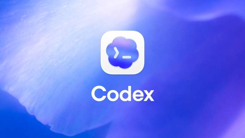 Vous utilisez Codex ? Votre SSD souffre peut-être, voici pourquoi