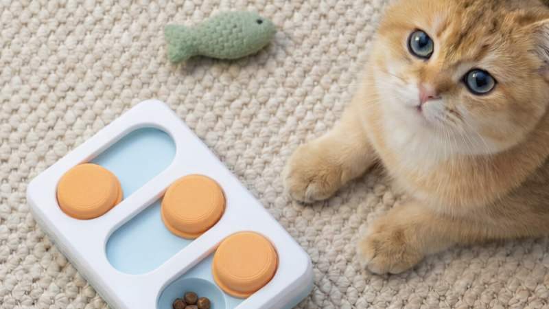 Bambu Lab PLA Pure&nbsp;: un filament 3D «&nbsp;sûr&nbsp;» pour jouets et contact alimentaire, sous conditions