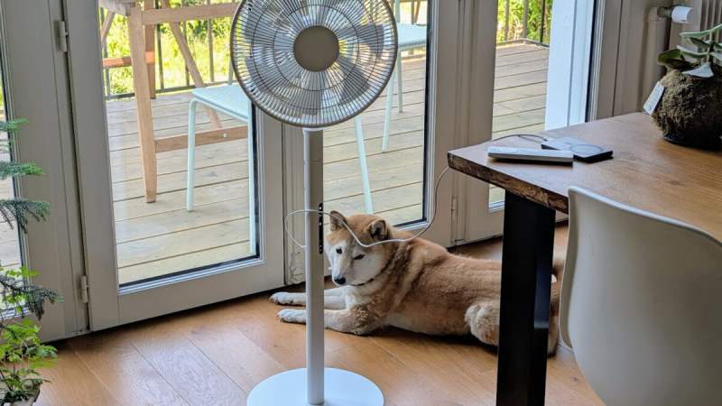Test du Xiaomi Mijia Smart Standing Fan Pro Slim : le ventilateur connecté que j’emporte d’une pièce à l’autre