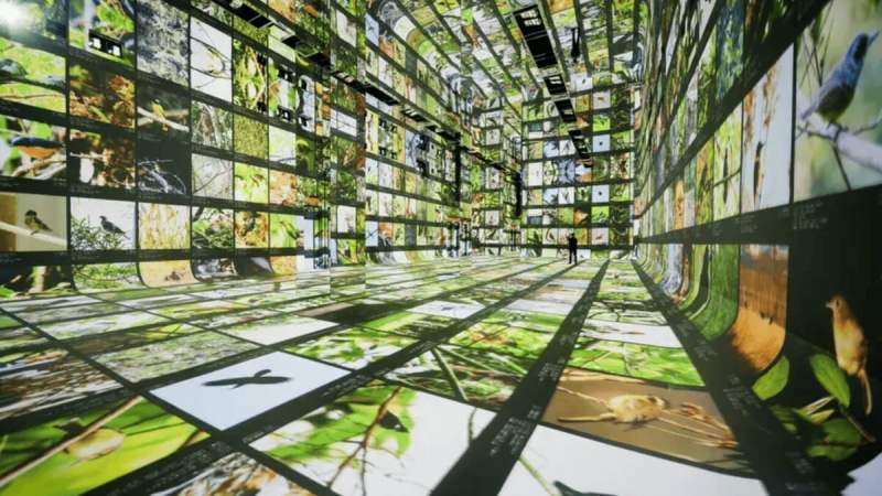 Google ouvre « Dataland » : le tout premier musée d’Art par IA