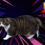 Tout le monde parle d’un monstre IA français nommé « Le Chaton Fat » : il n’existe pas, et les Américains adorent s’en moquer
