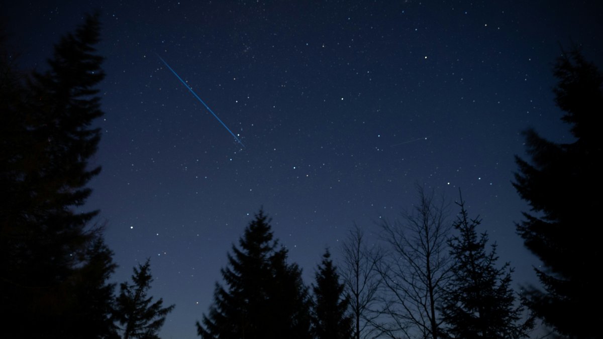 starlink