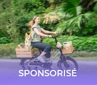 Vélo Cargo T3 // Source : Fiido
