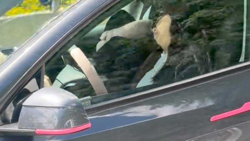 Endormie à 100 km/h dans sa Tesla : une paire de lunettes de soleil a suffi à tromper la caméra de surveillance