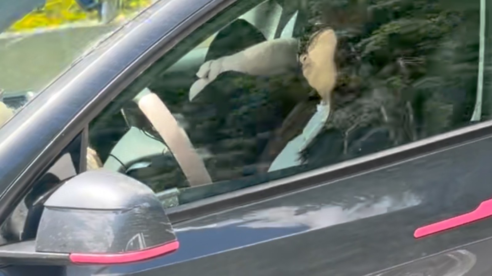 Endormie à 100 km/h dans sa Tesla : une paire de lunettes de soleil a suffi à tromper la caméra de surveillance