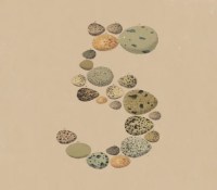 Logo de Claude Opus 5 // Source : Anthropic Logo de Claude Opus 5 // Source : Anthropic