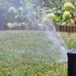 Vous partez bientôt en vacances ? Voici comment automatiser et connecter l&rsquo;arrosage de vos plantes