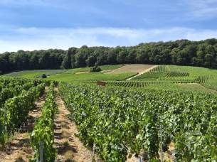 Champagné à vélo - Jour 2 3