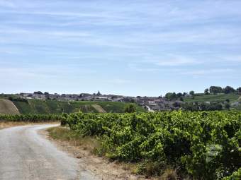 Champagné à vélo - Jour 2 4