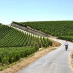 J’ai sillonné la Champagne à vélo électrique pendant 3 jours : voici mon carnet de route entre tracés cyclables, dégustations et bonnes bouffes