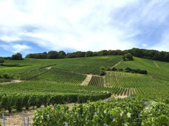 Champagné à vélo - Jour 2 7