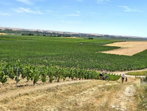 Champagné à vélo - Jour 2 9
