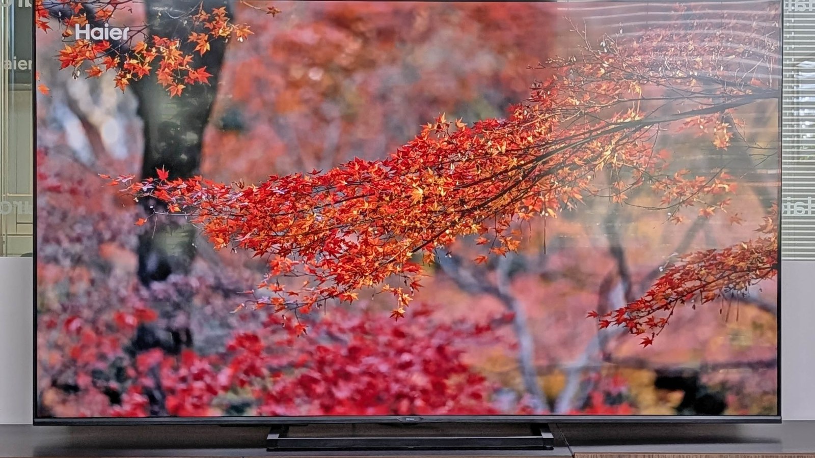J’ai testé le Haier H65S80GUX : un TV 65 pouces à 600 euros qui mise sur la précision, pas sur la luminosité