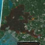 Flamap : le créateur de CovidTracker lance une carte des feux de forêt en temps réel
