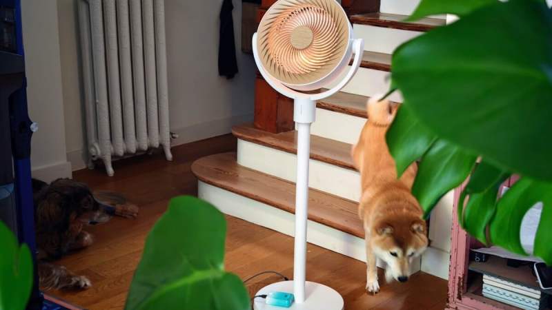 Test du SwitchBot Standing Circulator Fan : un ventilateur connecté, nomade et discret