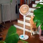 Test du SwitchBot Standing Circulator Fan : un ventilateur connecté, nomade et discret