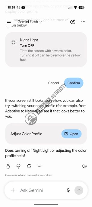 Gemini-searching-for-settings-1000w-2244h.jpg
