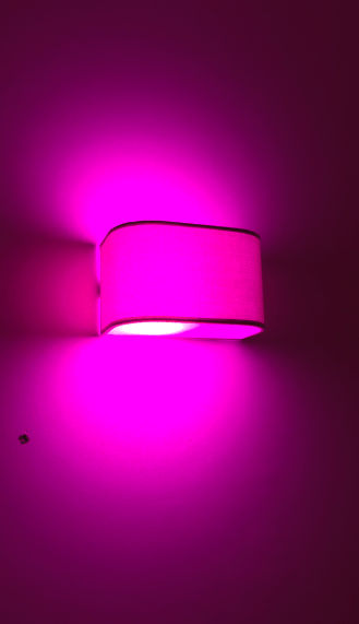 ampoule-govee-rose