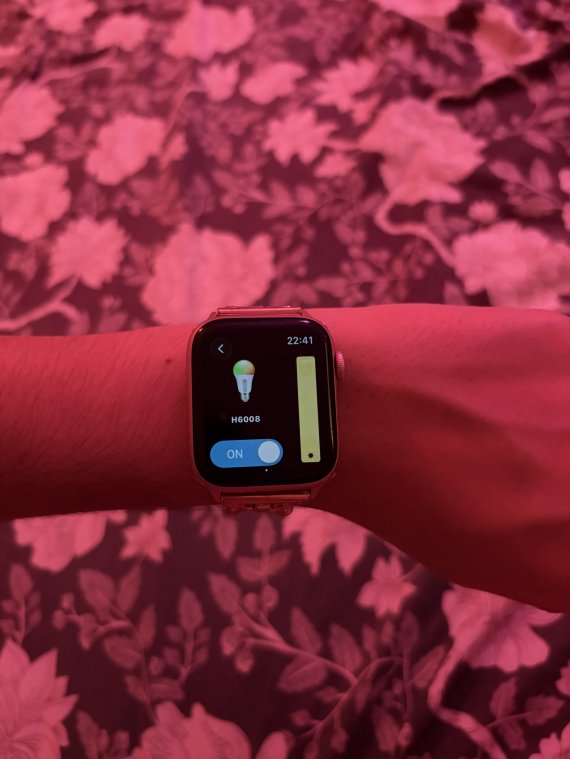 Il est possible de contrôler les ampoules Govee sur une Apple Watch. // Source : Noémie Koskas pour Frandroid