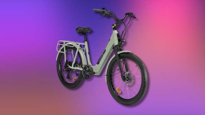 Intersport retire 200 € sur son vélo électrique endurant taillé pour les familles